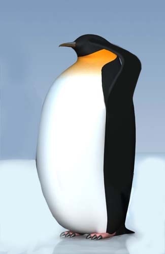 Creation of Tuxedo Pingu: Step 2